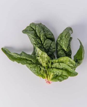 Root Ice Spinach™
