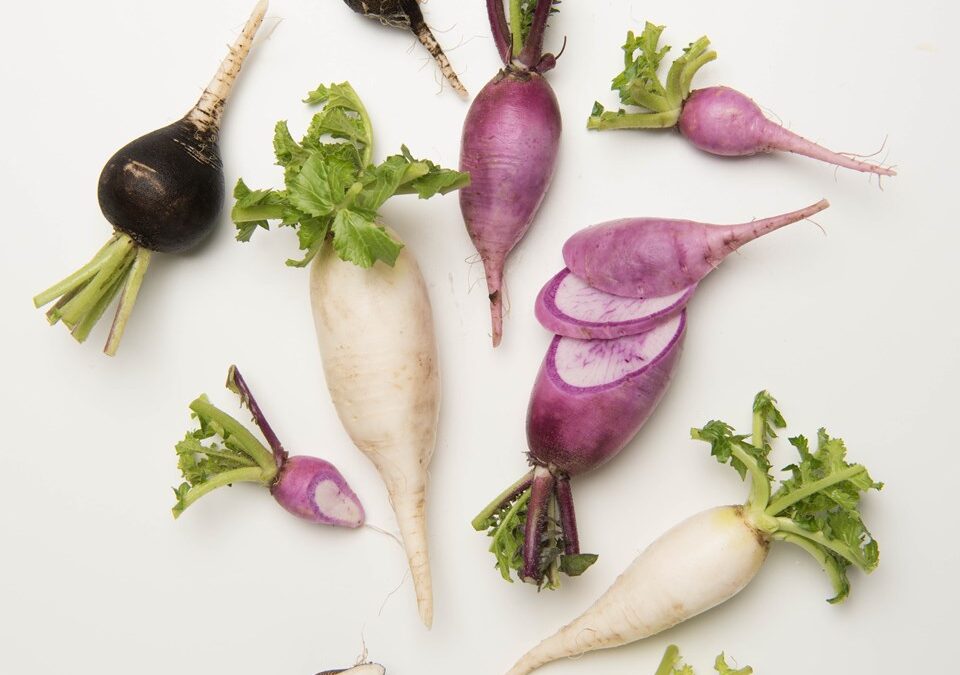 Root Vegetable Sizing Guide From The Chef’s Garden