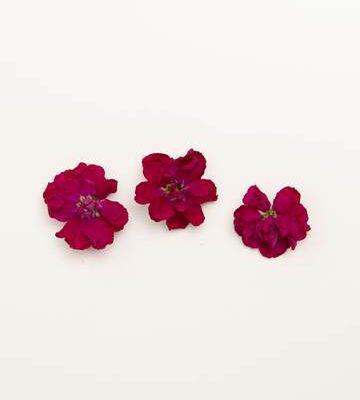 Ruby Mini Floret