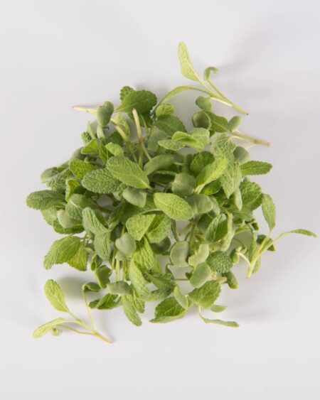 Sage