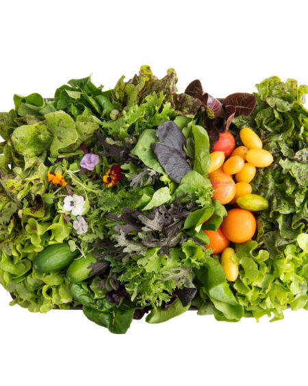 Salad Box Subscription