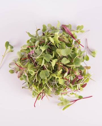 Salad Sensation®