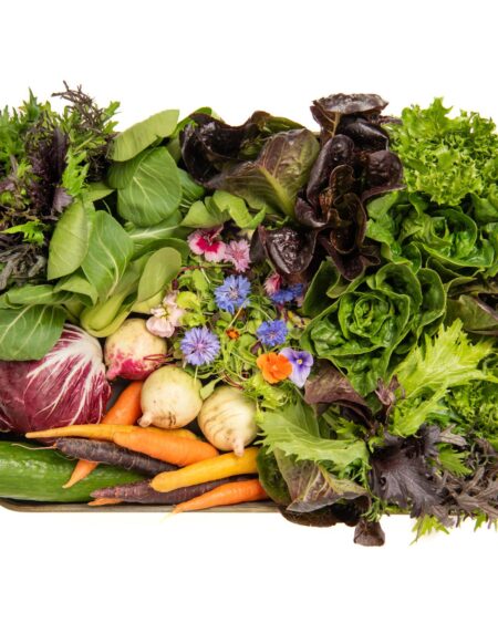 Salad Box Subscription