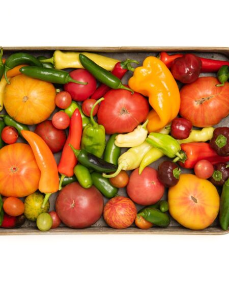 Salsa Box