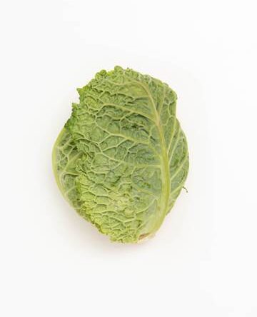 Savoy Cabbage