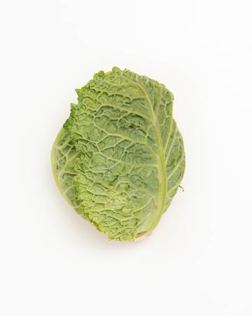 Savoy Cabbage