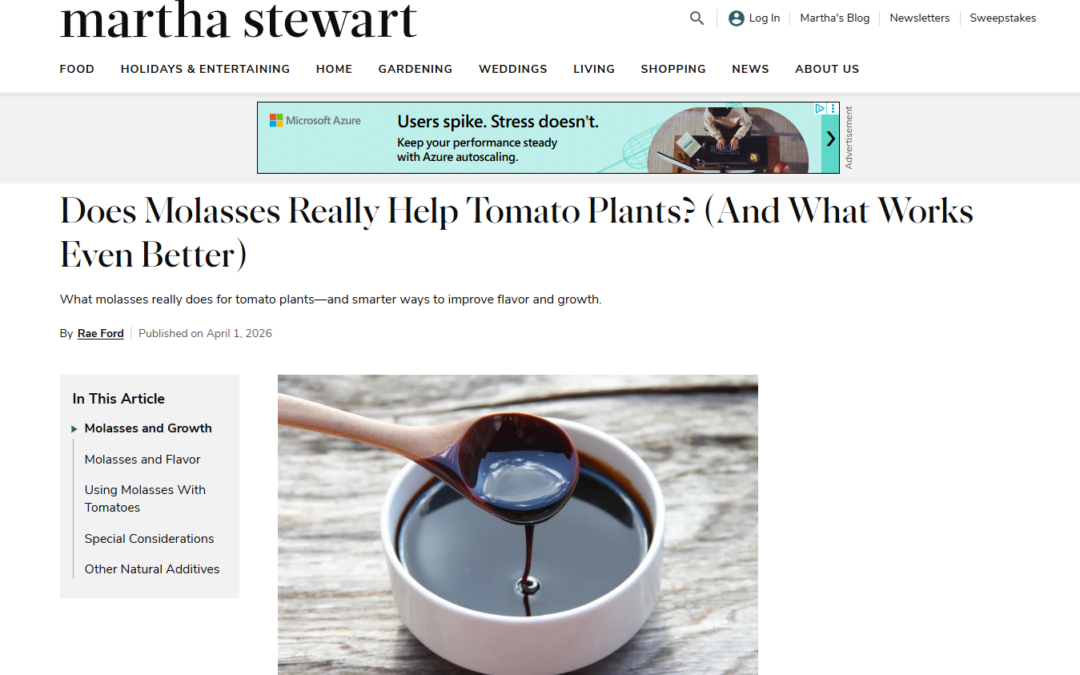 Does Molasses Really Help Tomato Plants? (And What Works Even Better)