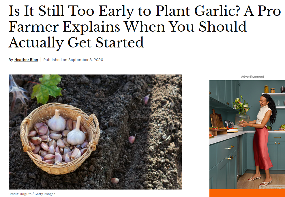 Is It Still Too Early to Plant Garlic? A Pro Farmer Explains When You Should Actually Get Started