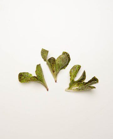 Speckled Density Romaine