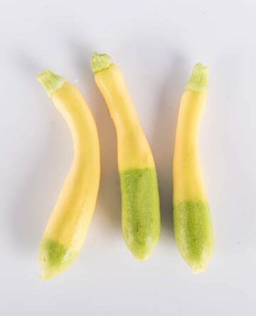 Zephyr Squash