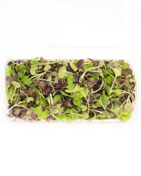 Sulforaphane Signature Blend