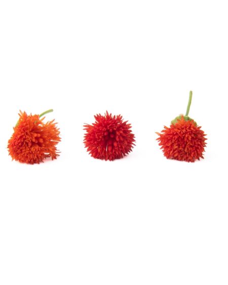 Tassel Flower