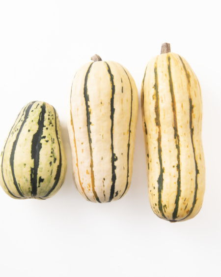 Tetra Squash