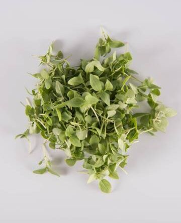 Thai Basil