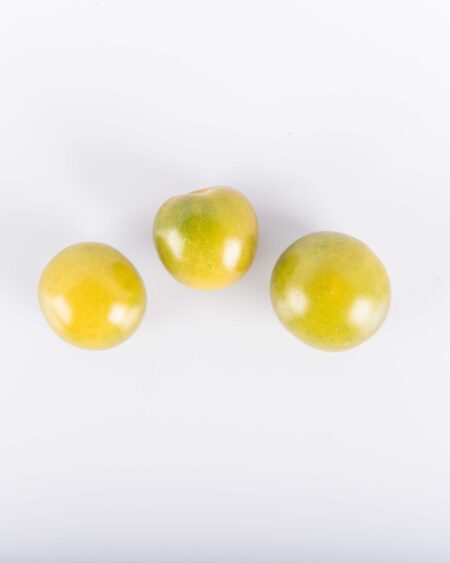 Green Doctor Tomato