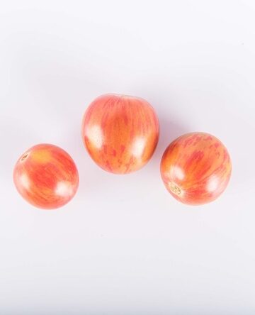 Pink Bumble Bee Tomato