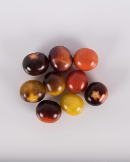 Indigo Blue Berry Cherry Tomato