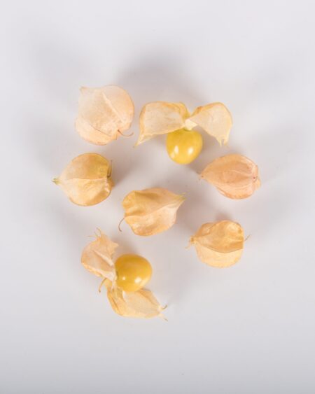 Pineapple Tomatillo