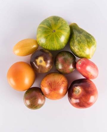 Toy Box Tomatoes