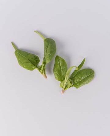 Traditional Spinach