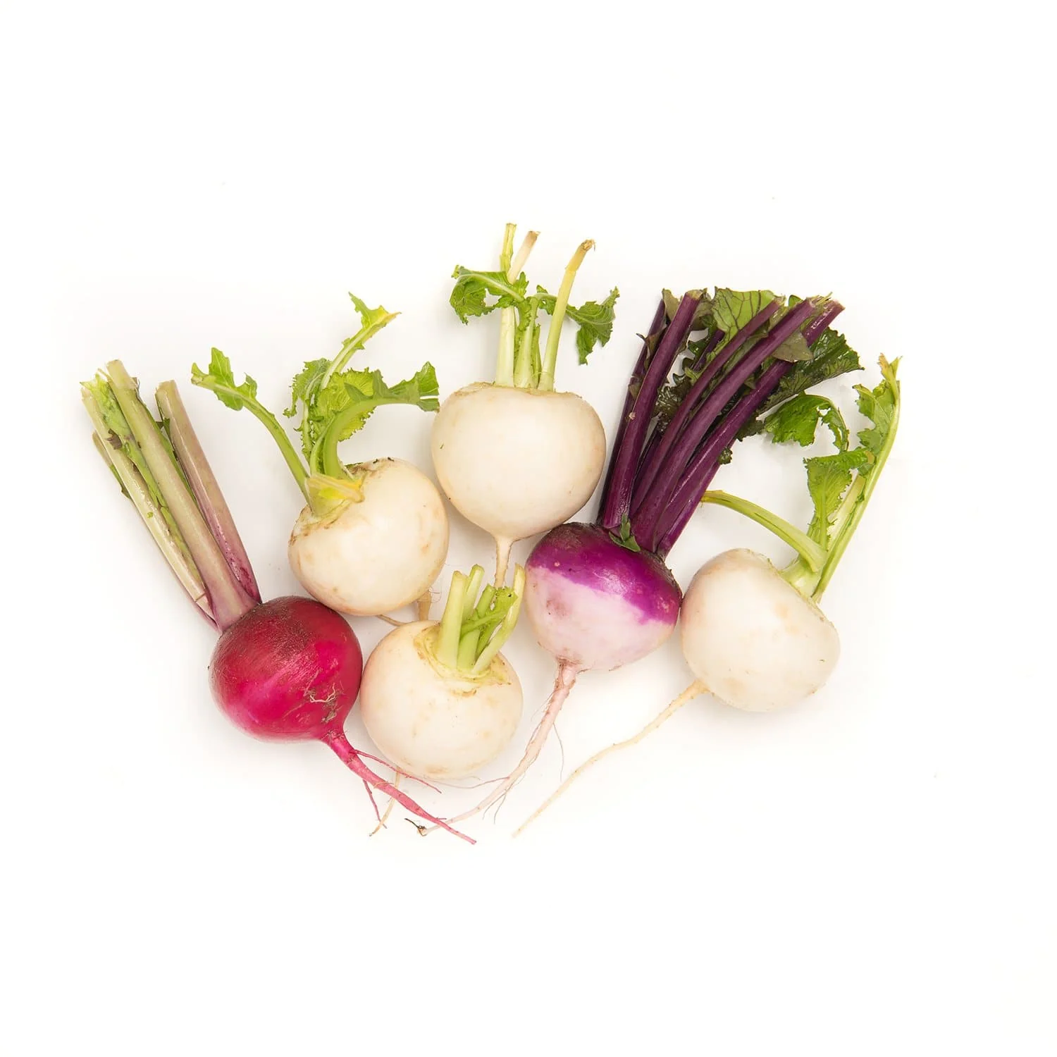 Mixed Turnips