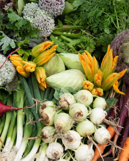 All Vegetables
