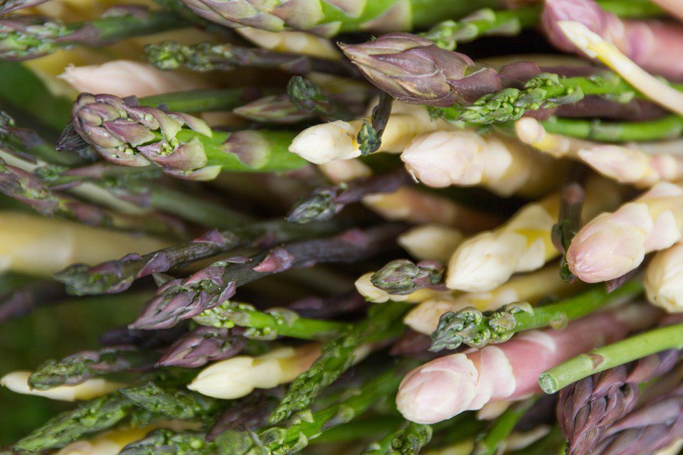 Versatility of Fresh Asparagus