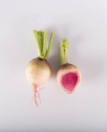 Watermelon Radish