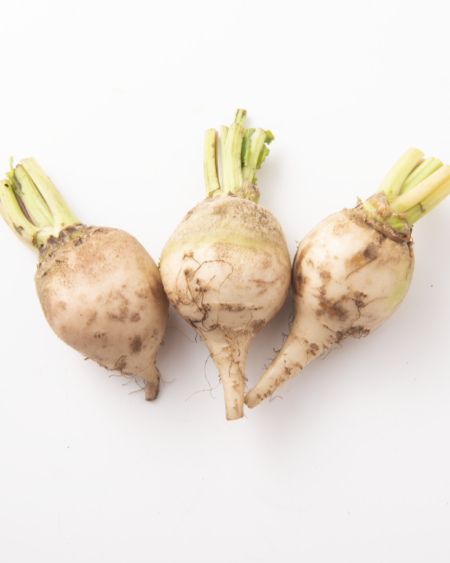 White Beet