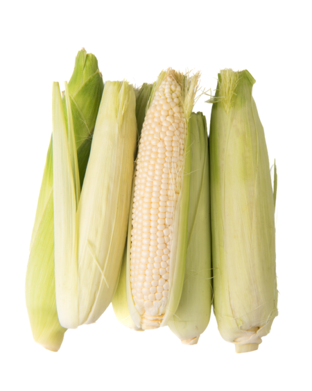 Sweet Corn