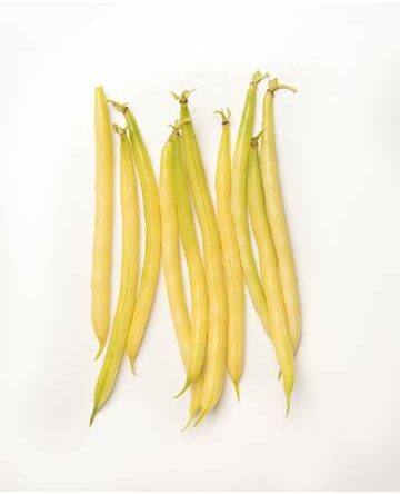 Yellow Wax Bean