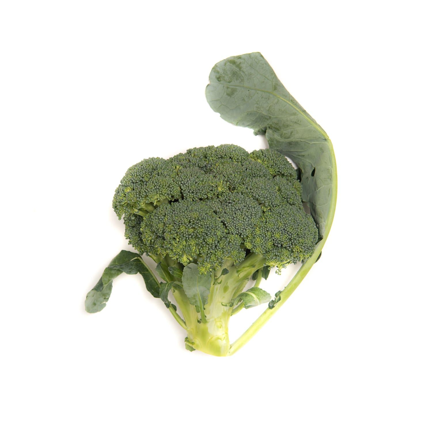 Broccoli