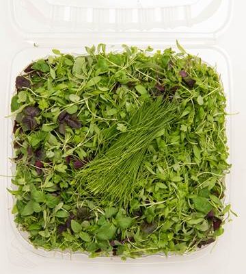 Micro Asian Fines Herbs