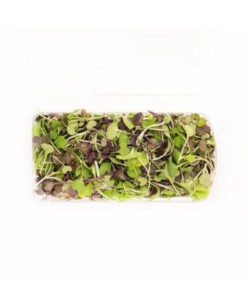 Antioxidant Signature Blend