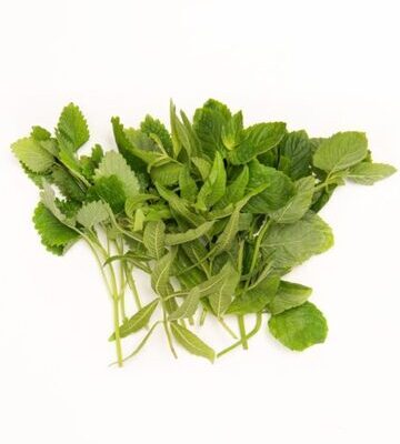 Fresh Herbal Tea Sampler