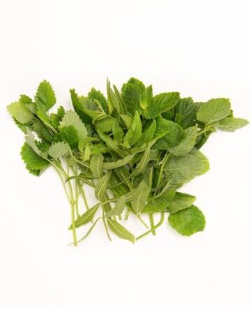 Fresh Herbal Tea Sampler