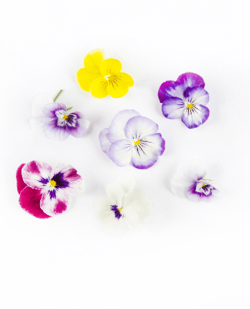 Mixed Violas