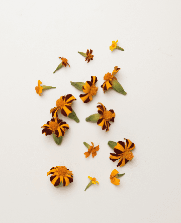 Mixed Marigolds