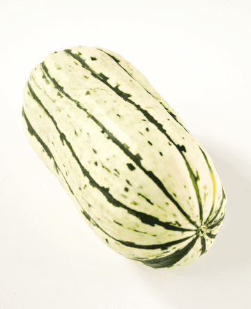 Delicata Squash