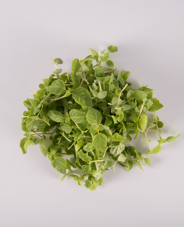 Green Shiso