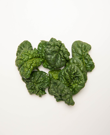 Root Spinach