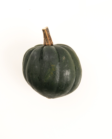 Acorn Squash