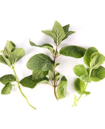 Mint Blend
