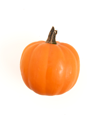 Gold Acorn Squash