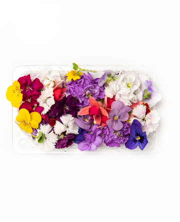 Mixed Flowers