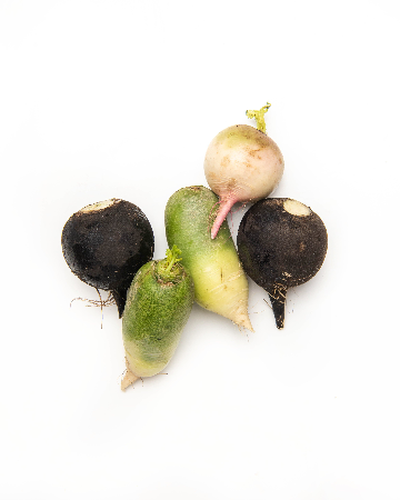 Mixed Fall Radish