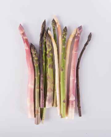 Asparagus