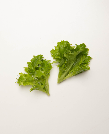 Green Tango Lettuce