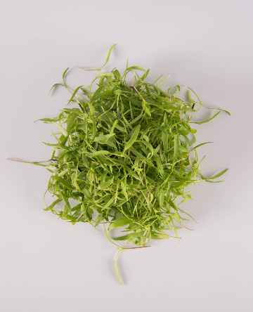 Chervil