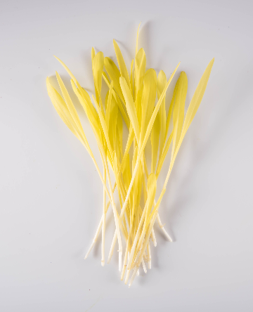Popcorn Shoots™